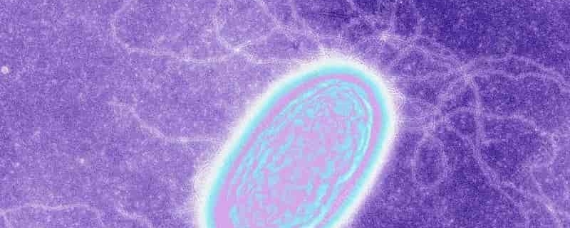 Генериране на електроенергия от нищото с помощта на Air-GEN: Учени от университета в Масачузетс са успели.